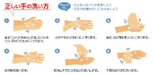 正しい手洗い